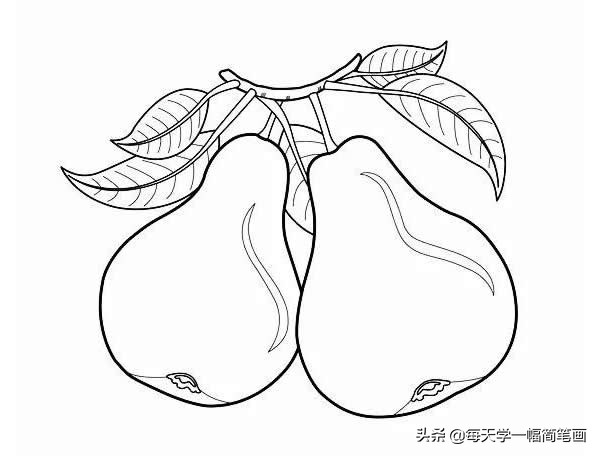 超简单水果简笔画初学者零基础,秋天成熟的水果有哪些简笔画