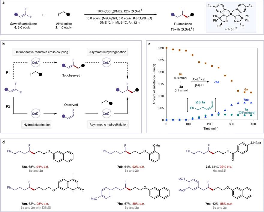 中科大傅尧院士,傅尧科大