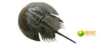 舟山海鲜攻略2天1晚住宿自由行,舟山最好的海鲜