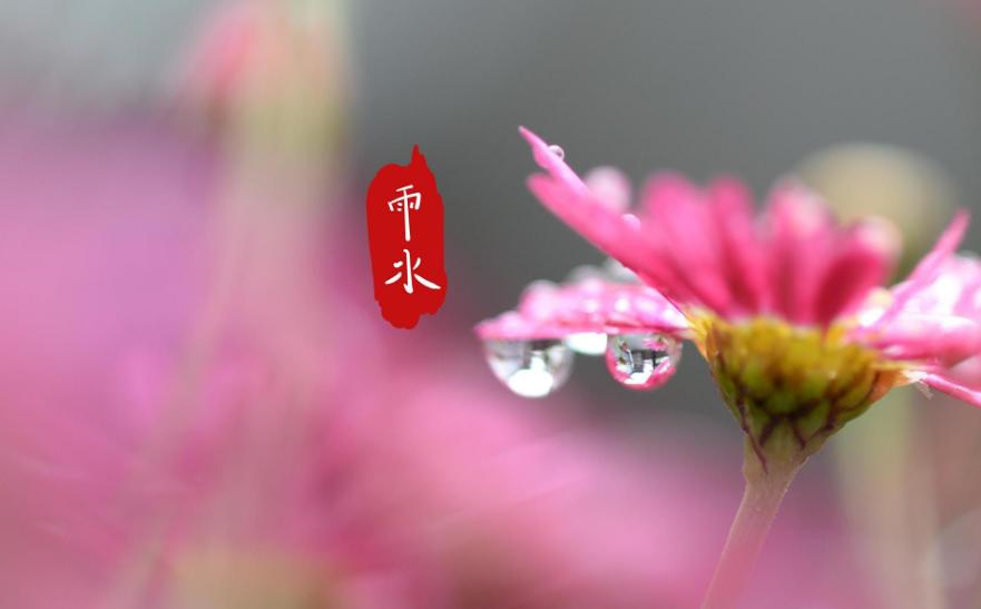 诗词好雨知时节,《春雨》诗词品读