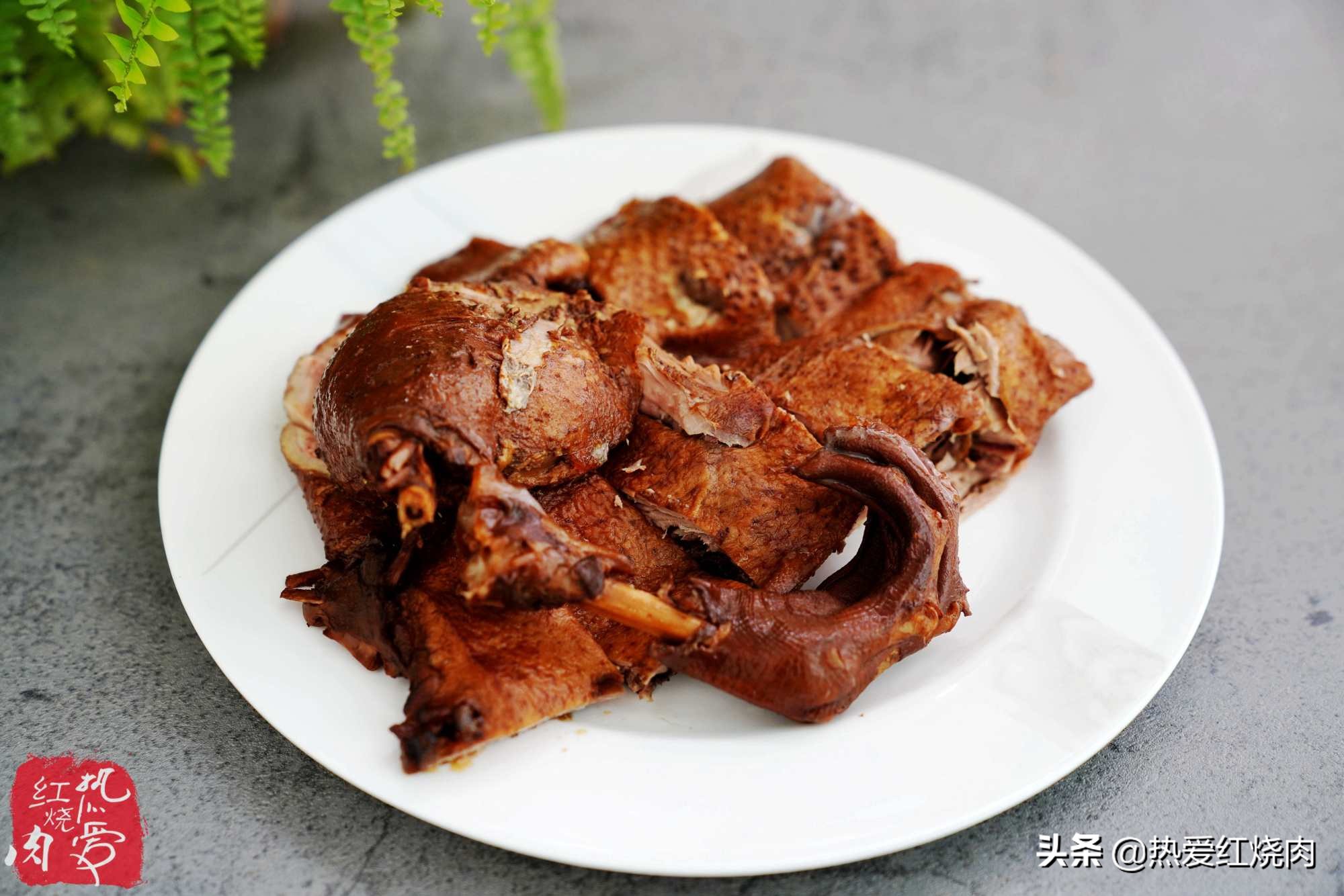 家禽爱吃的菜,什么鹅最好吃又好养