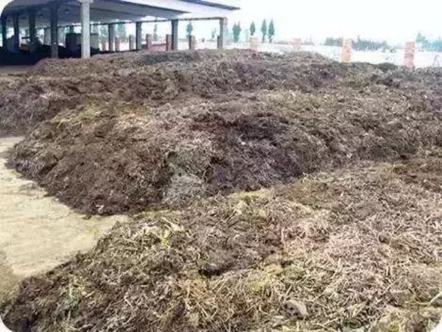 自制煮熟黄豆有机肥是啥肥,自制有机肥发酵剂的制作方法