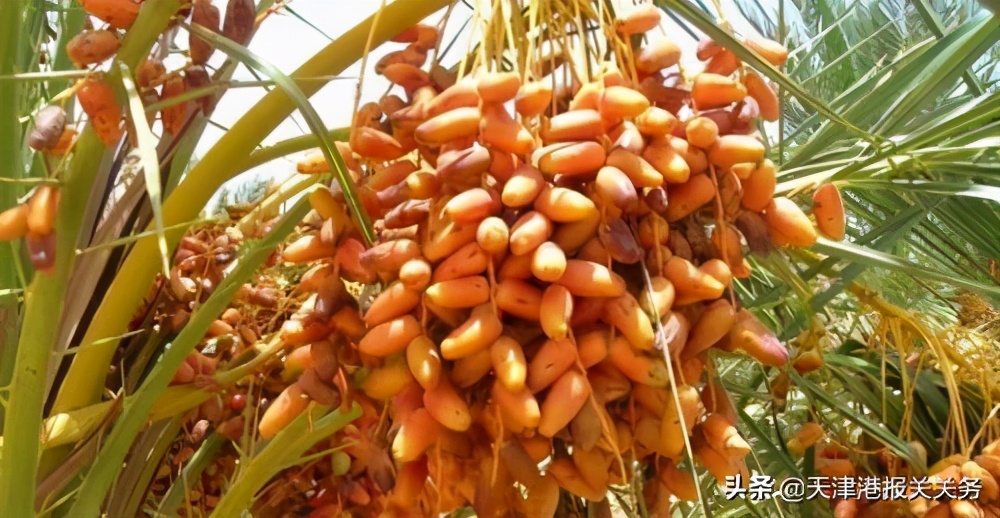 吉尔吉斯斯坦清关公司,吉尔吉斯斯坦最专业的清关公司