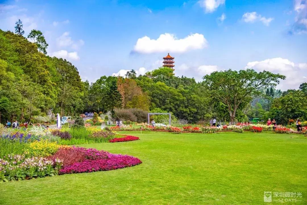 罗湖没落了吗,深圳罗湖现在怎么样了