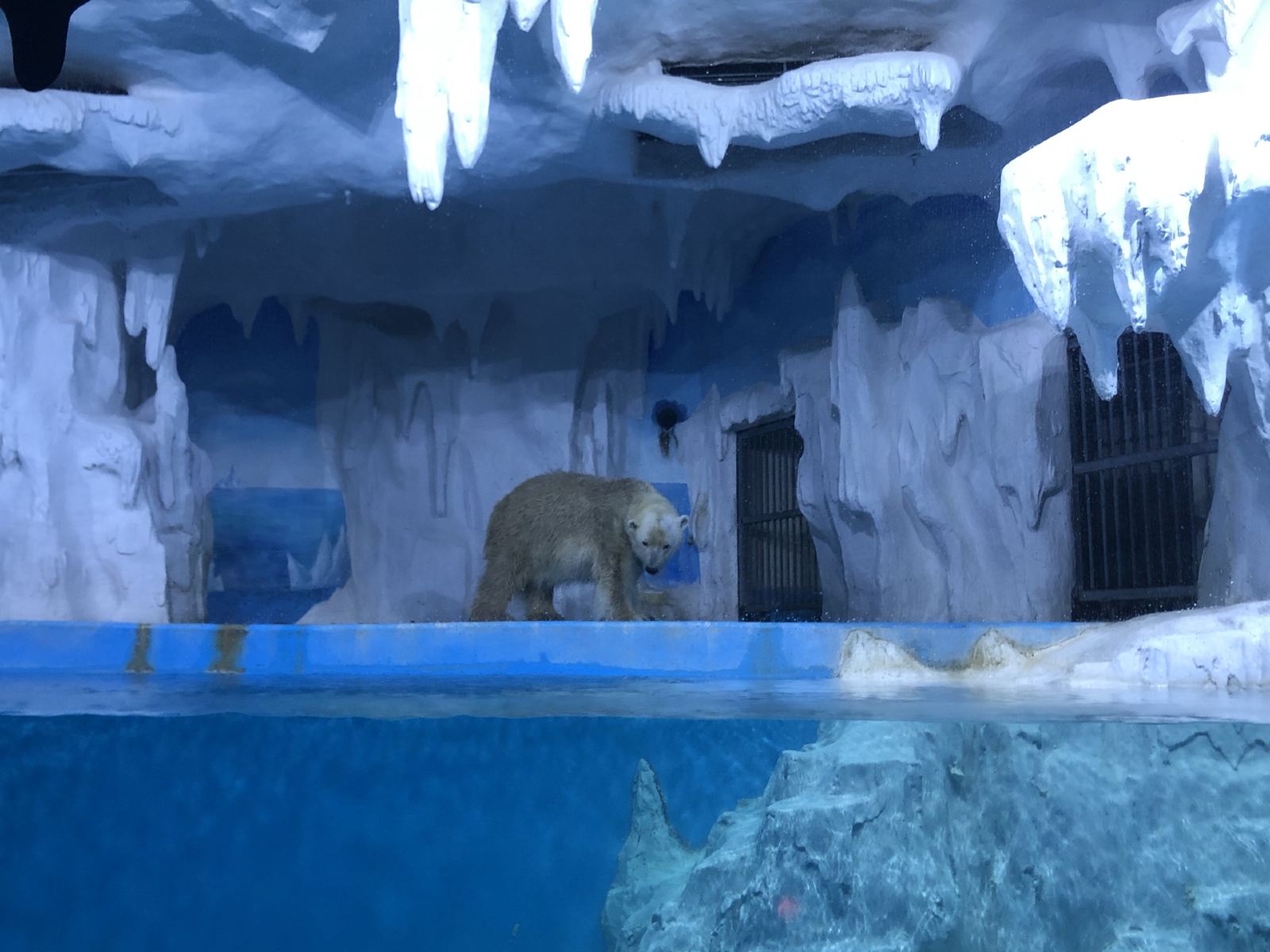 贵阳市多彩贵州城景点推荐,贵州的旅游景点多彩贵州城