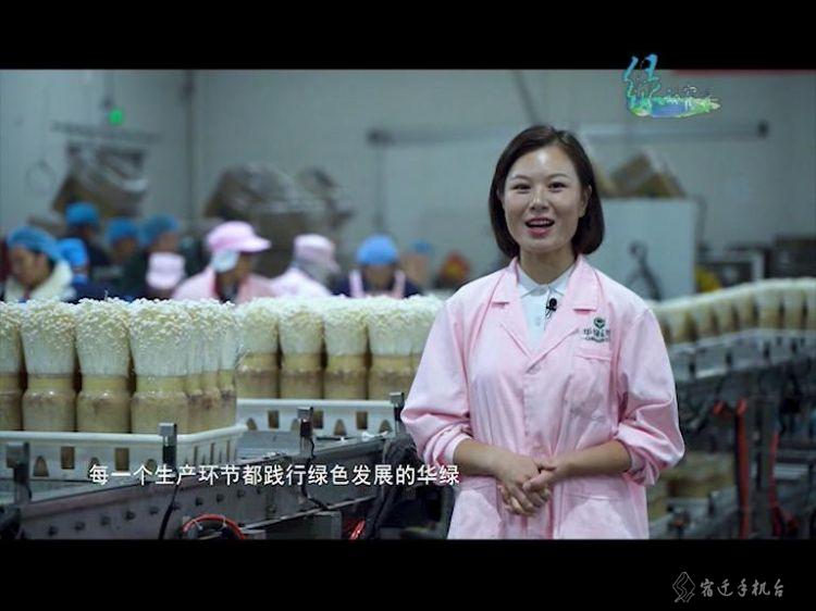 走进平原林海泗阳，一起感受辽阔壮美的泗阳之绿