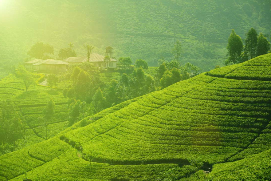 西双版纳景洪铁矿,西双版纳铁矿现状