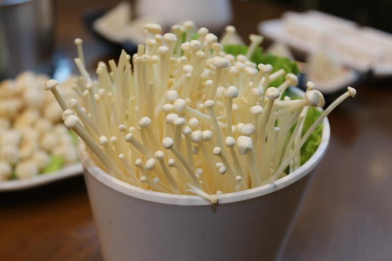 三亚3天2晚纯玩团,三亚2天3晚攻略