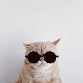 苹果年度最佳照片,iphone拍出来的照片有多惊艳