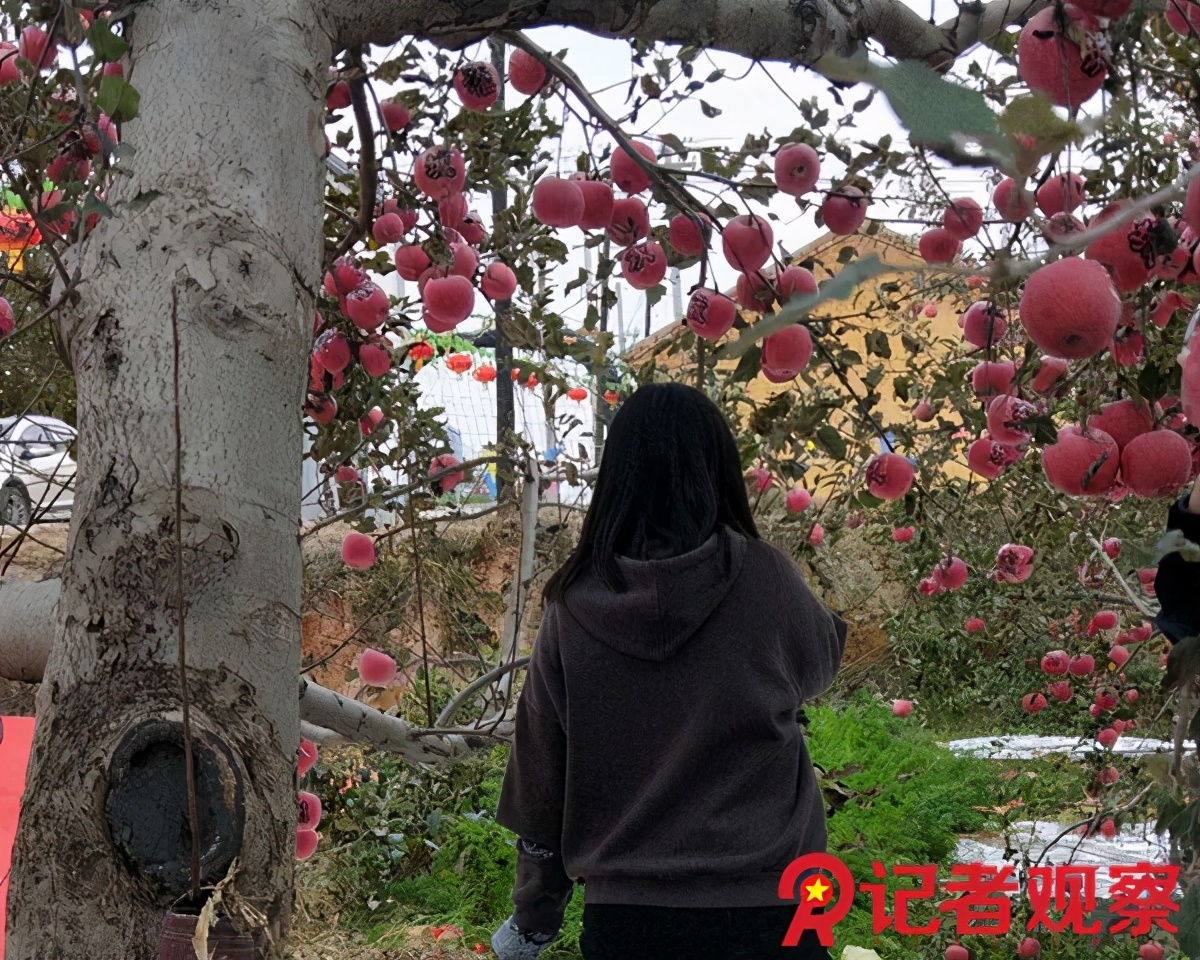 苹果小镇体验基地,吉县苹果体验中心