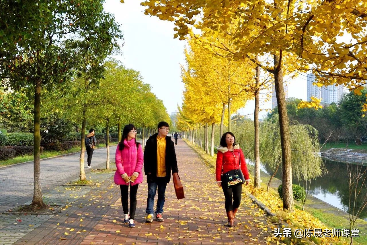 实力派高校三峡大学有哪些专业值得报考，陈晟老师解读高考