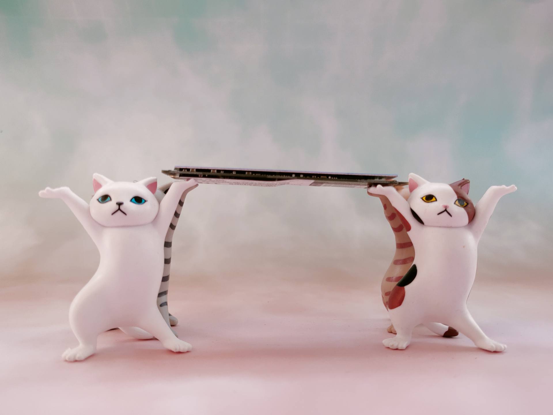 阿斯加特an3512gm.2测评,真香预警产品有哪些