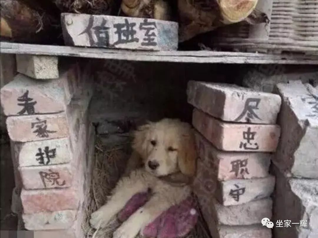 30种网赚骗术套路揭秘超深度干货,常见的20种网赚骗术揭秘