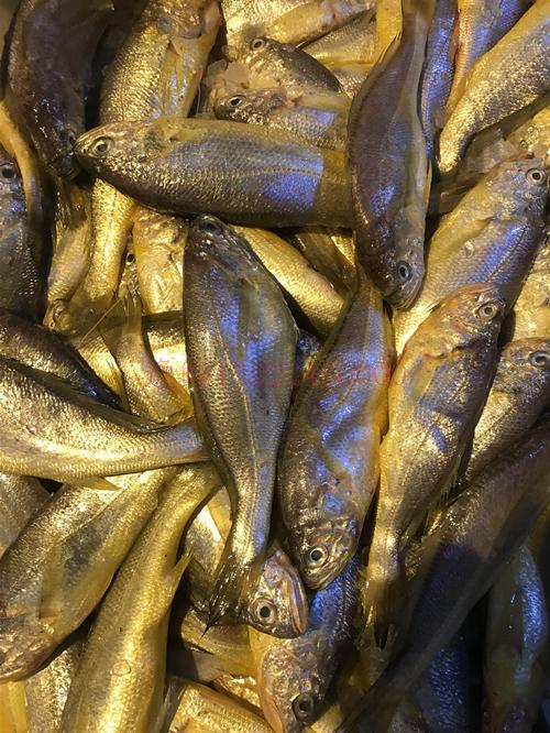 东海海鲜美食大全,家乡特色海鲜美食