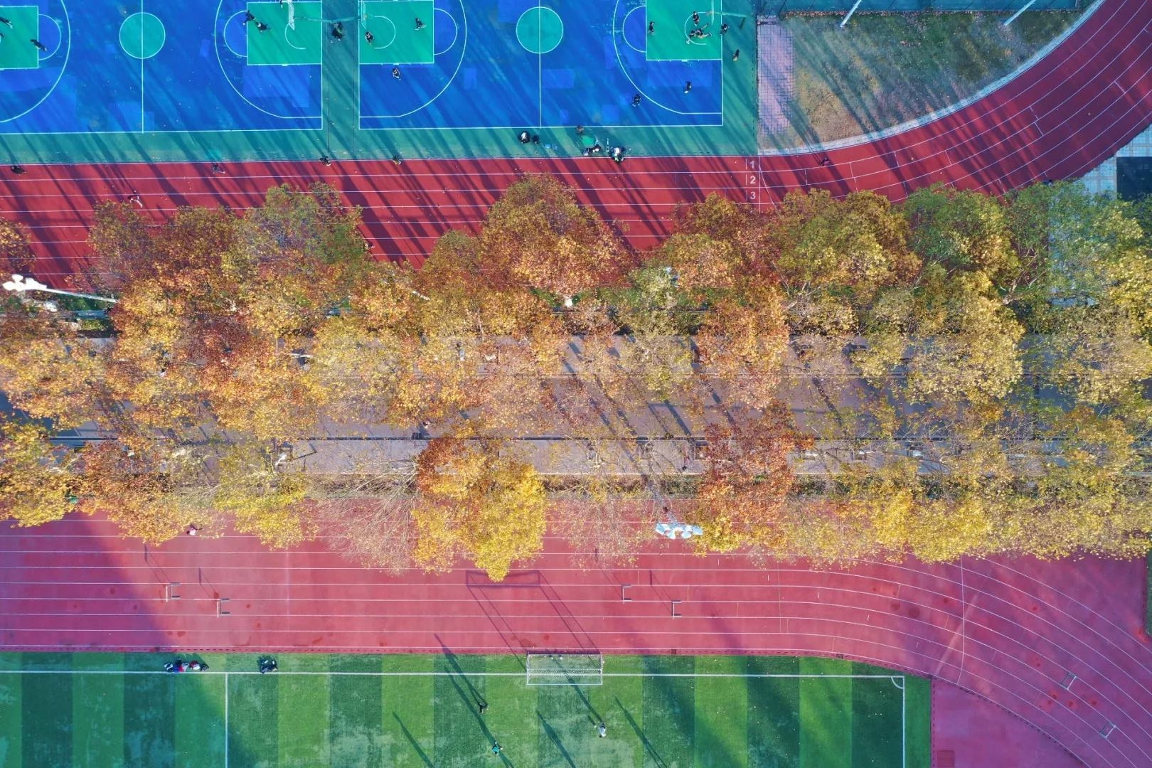 安徽这所211高校:坐拥5大校区,占地7000余亩,*小平邓**亲自题写校名!