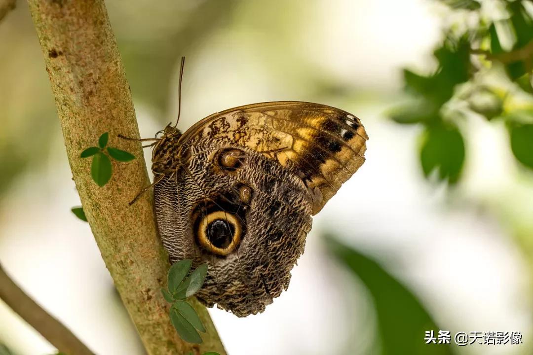 徕卡sl90-280拍人像,徕卡sl24-90镜头与24-70镜头比较