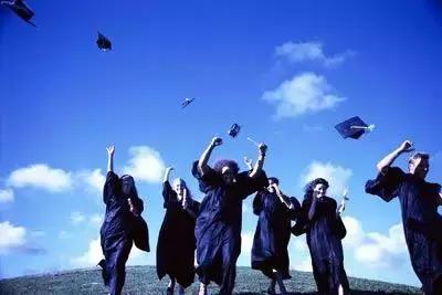 本硕博一路怎么坚持下来的,本硕博和兔子理论的区别