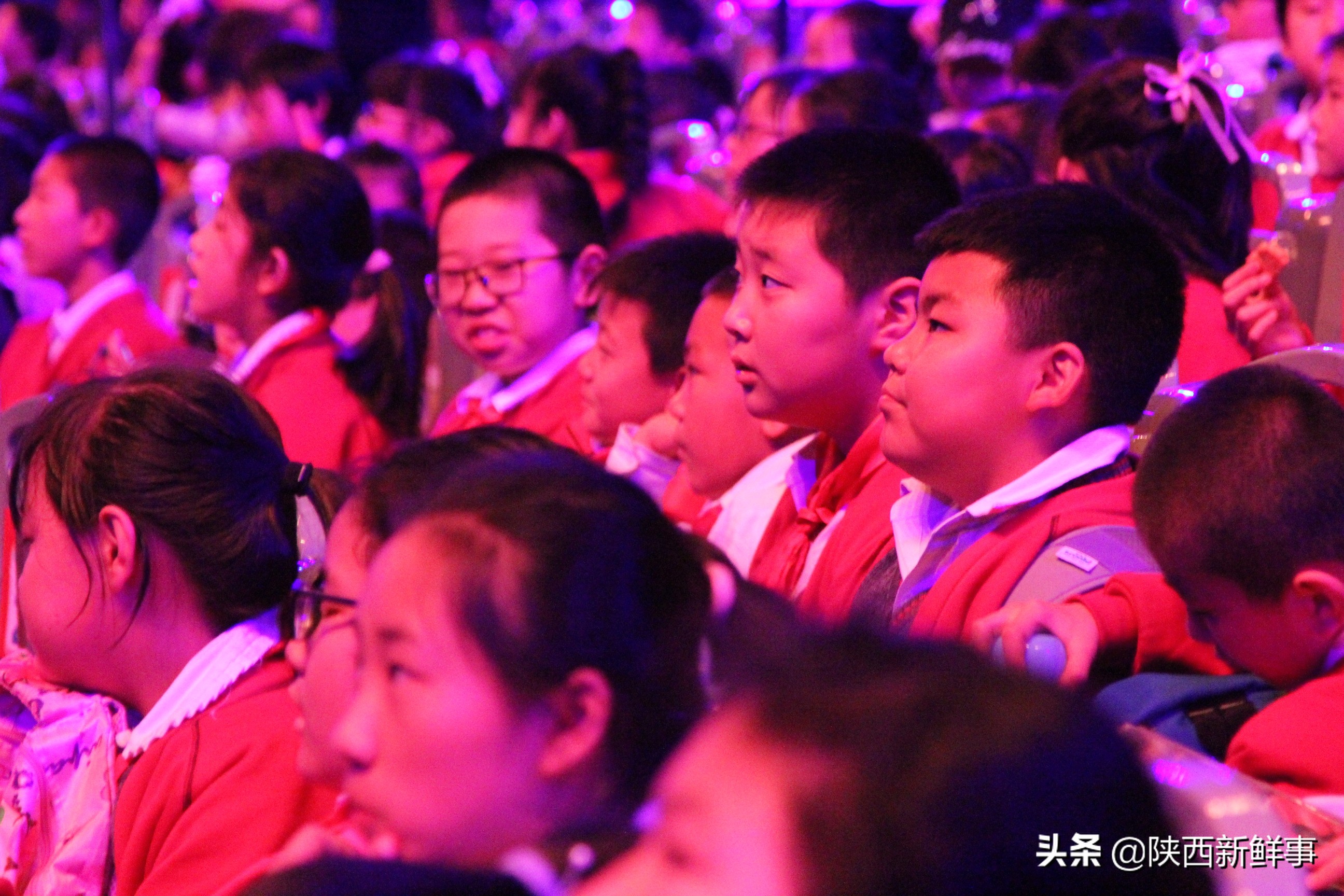 放飞海洋梦想感受丝绸传奇观后感,放飞海洋梦想感受丝路传奇研学题