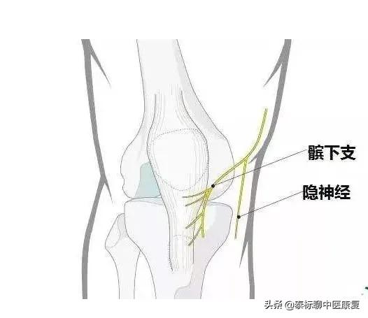 膝关节增生疼痛偏方,四神煎治膝关节疼痛