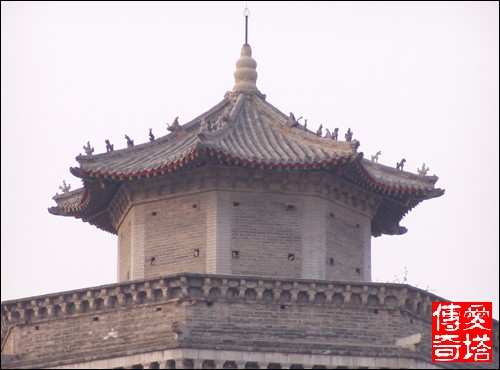 奇怪的古塔燕子----“严冬不南迁，有足不成行”