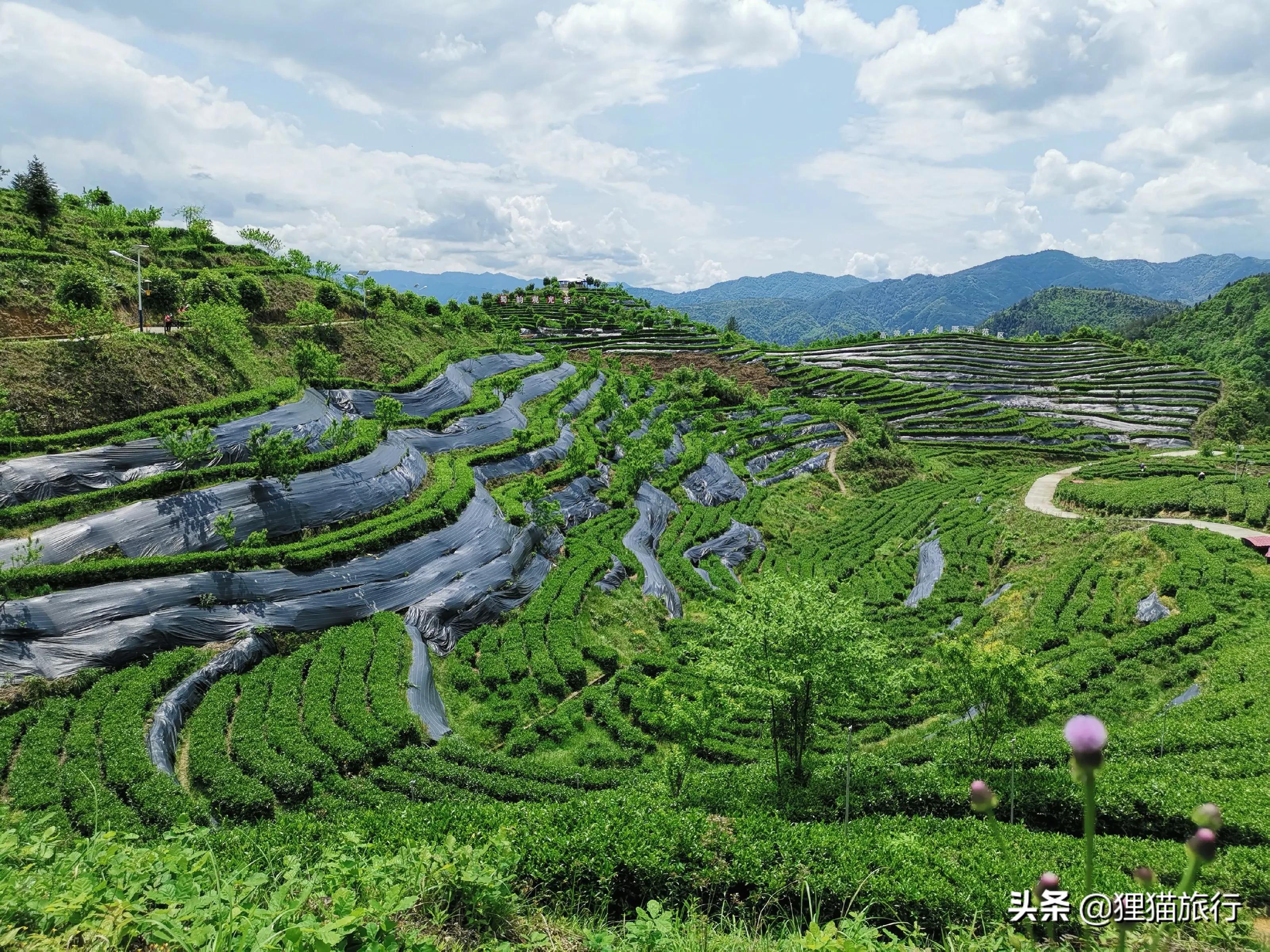 万源秦川锁,四川万源是处于秦岭吗