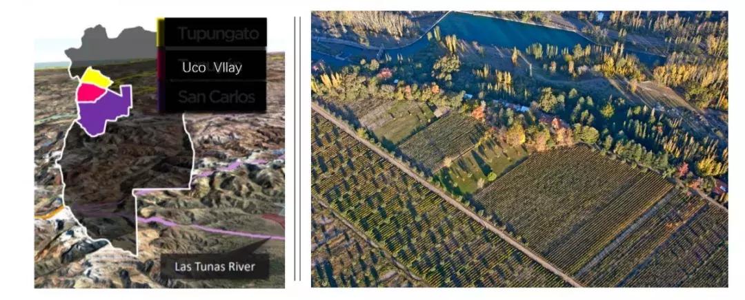 不能拒绝的维也纳咖啡文化,不能拒绝的口味