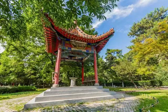 陕西高考招生志愿填报,高考志愿陕西师范大学