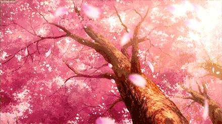 日本厚生年金申请及脱退指南,日本厚生年金退休能领多少