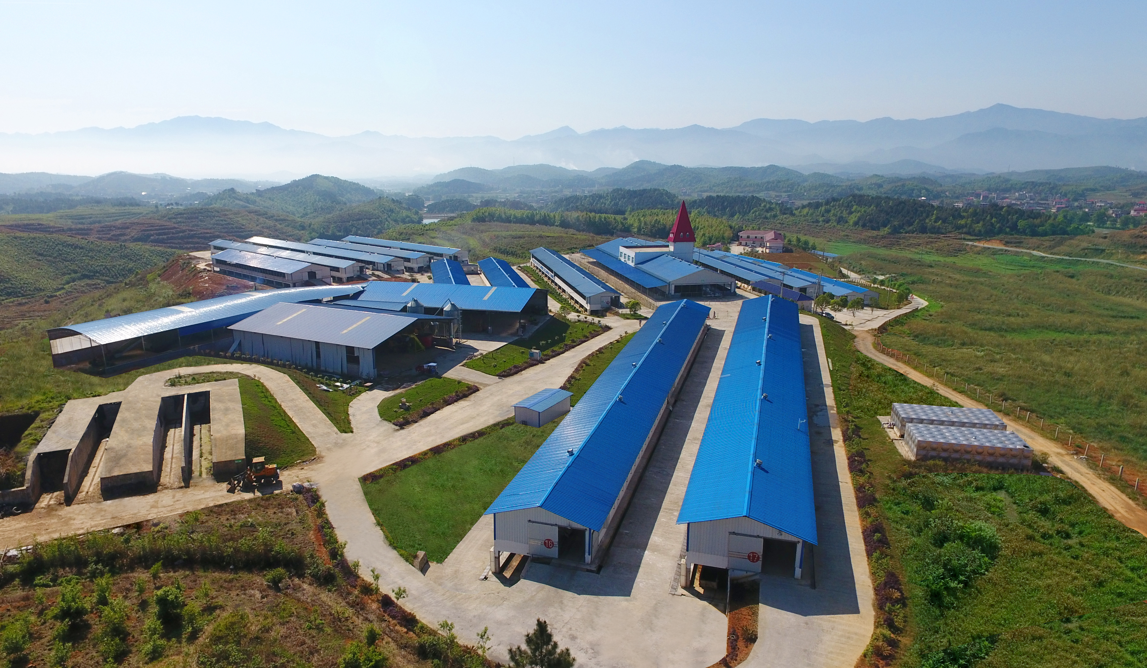 如何选羊奶或羊奶粉,羊奶粉和羊奶有什么区别哪个最好