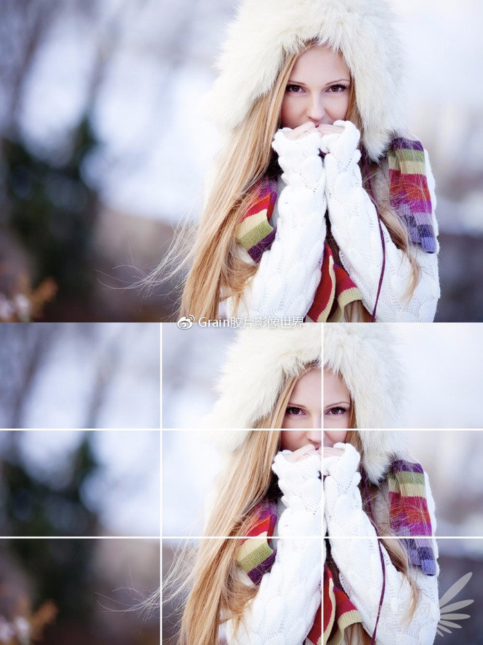 一篇摄影散文,关于摄影主题的文章