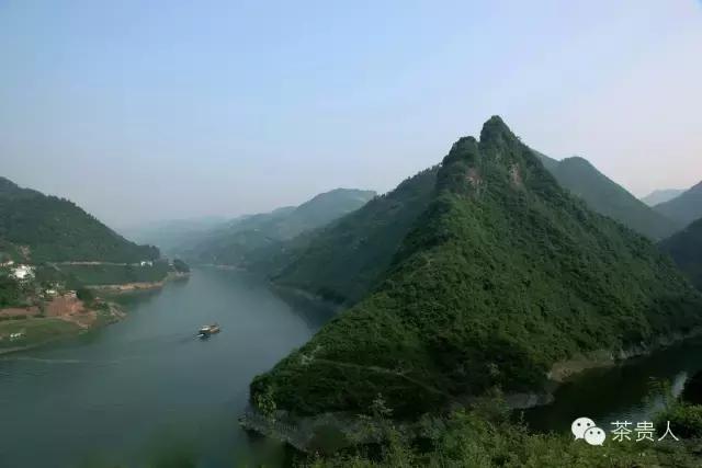 茶眼看陕西,茶眼看陕西最新视频