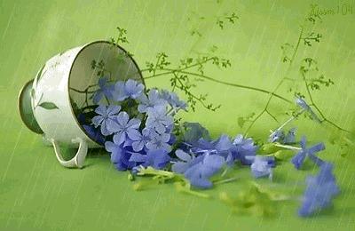 「快乐儿童节」儿童主播何家睦《春天的脚步》