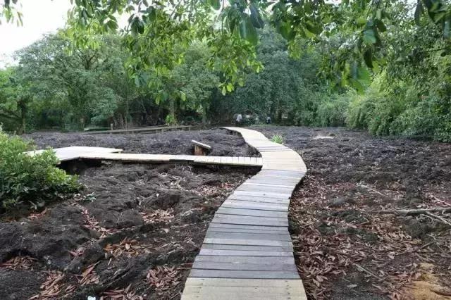 这个寒假去世界各地旅行,这个寒假必去的地方