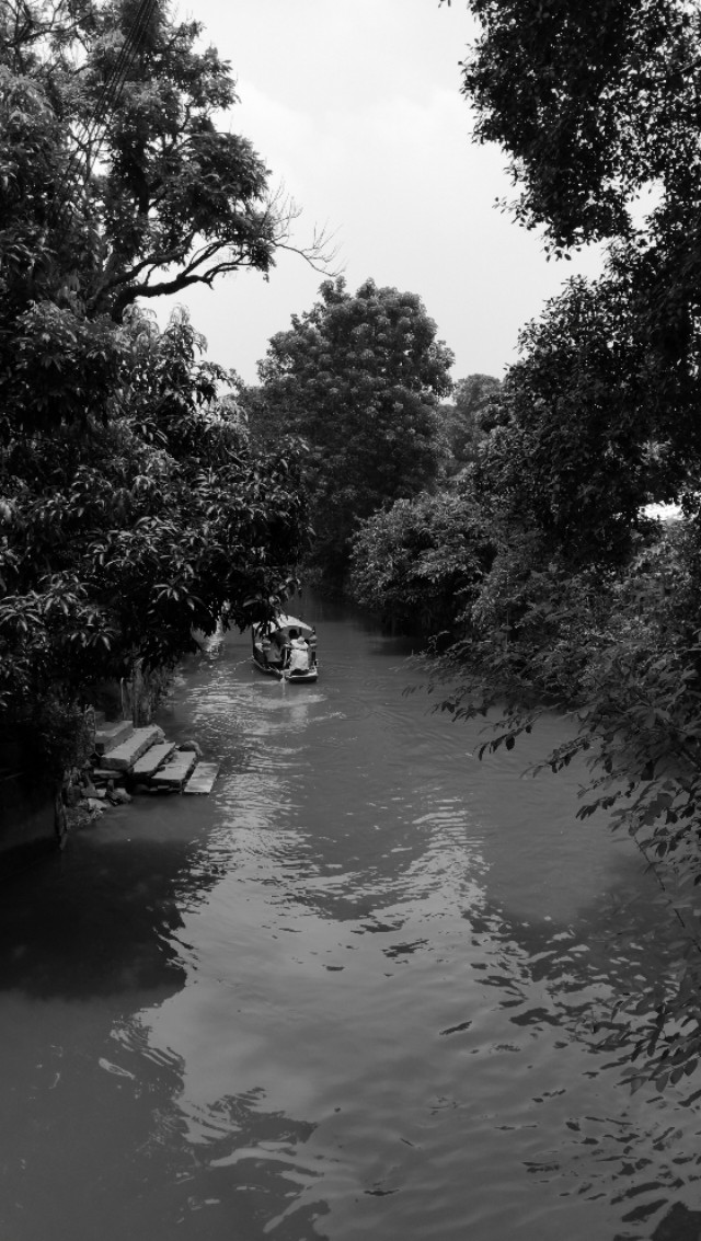 顺德逢简水乡有什么好玩的地方,顺德杏坛逢简水乡一日游攻略