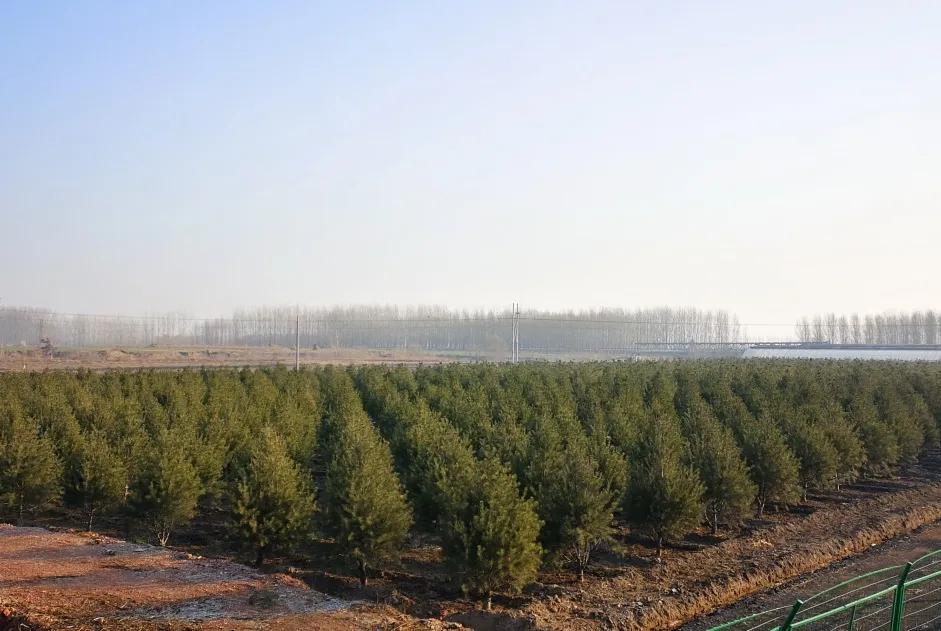 峰峰矿区哪个乡镇最好,峰峰美丽乡村都有哪些