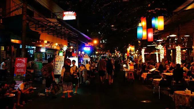 五一萌宠游园会,五一萌宠节