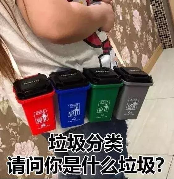 处理厨余垃圾的虫子,可以清理厨余垃圾的虫子