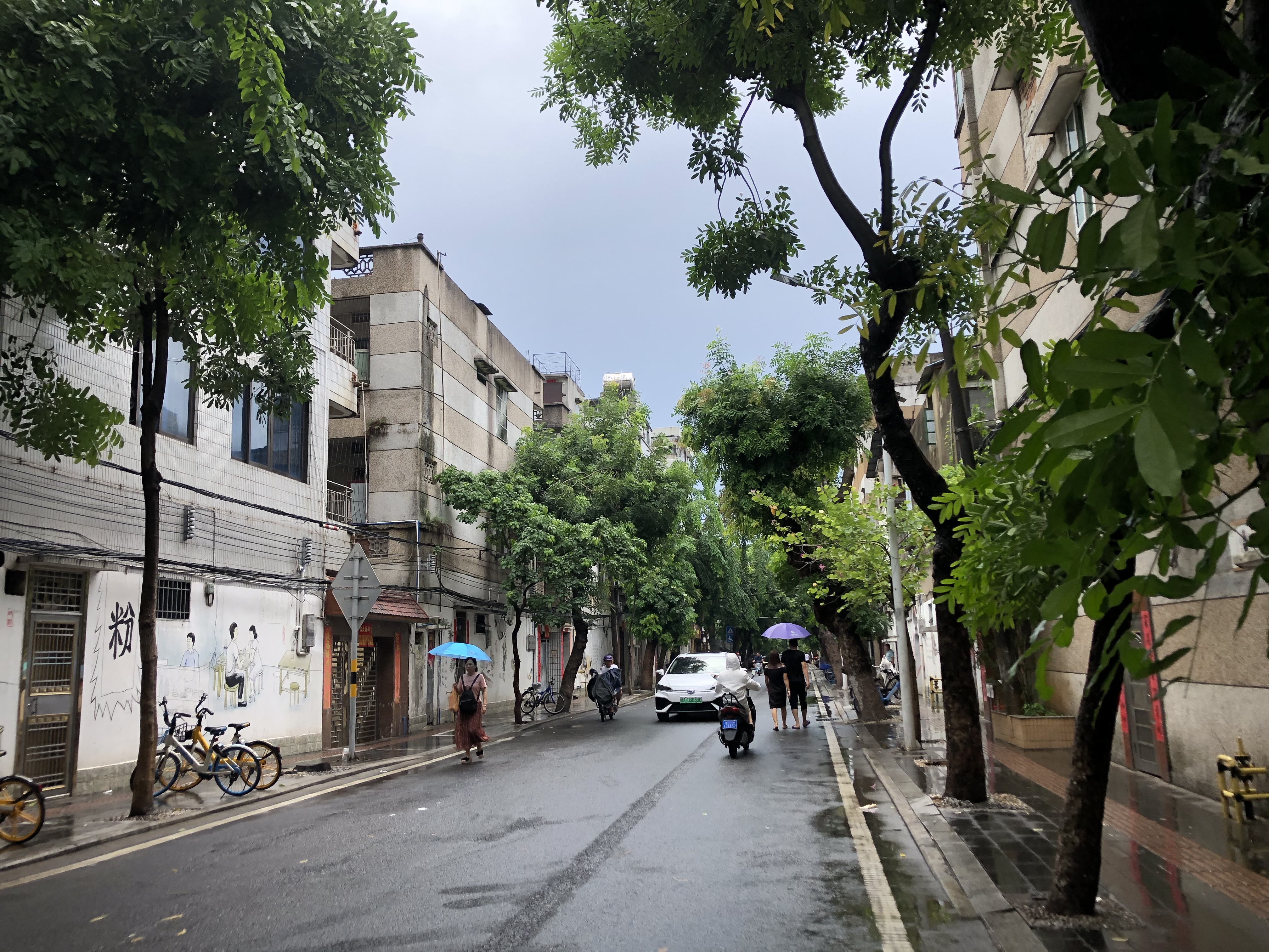 海口为什么容易出现内涝,海口小区内涝