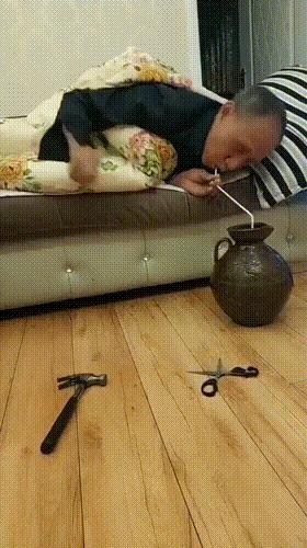 搞笑动图gif狗,搞笑动图gif猫咪