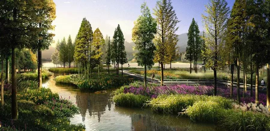 杭州西湖区免费足球场,西湖边的足球场