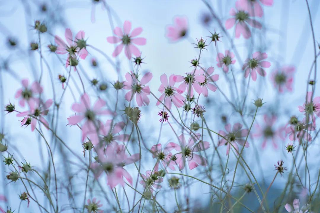 香港第14届全国摄影艺术展,第29届全国摄影艺术展览获奖名单