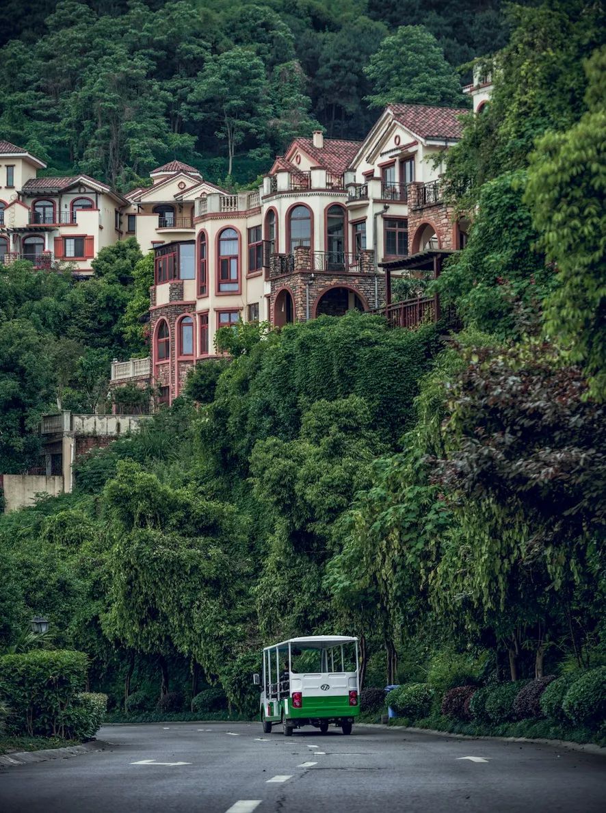 从十里蓝山到国博山，深耕13载与重庆共“未来”