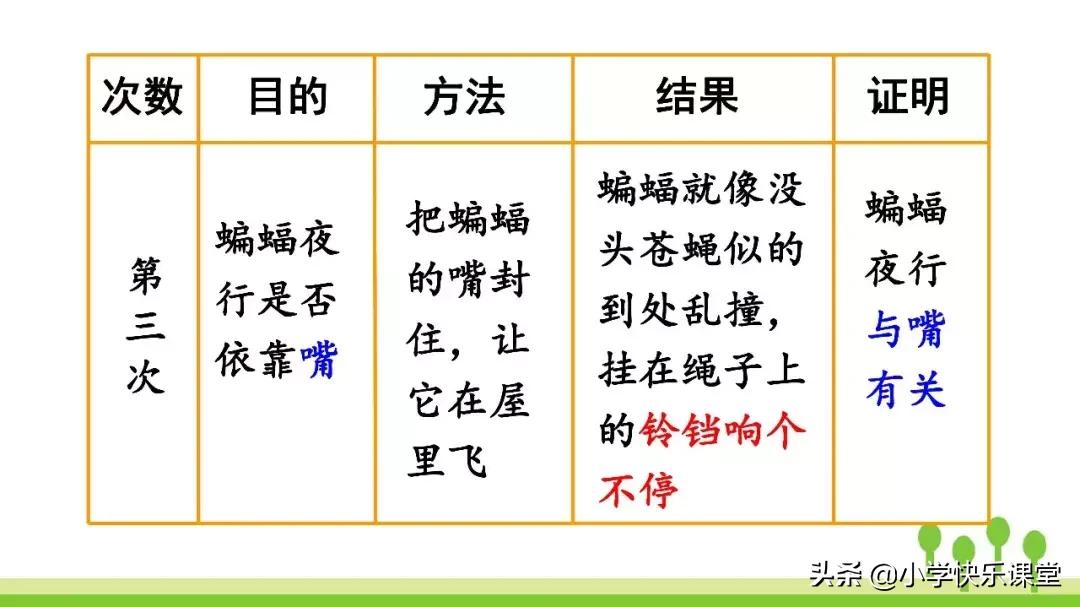 四年级上册语文蝙蝠和雷达课后题,部编版四年级上册语文蝙蝠和雷达
