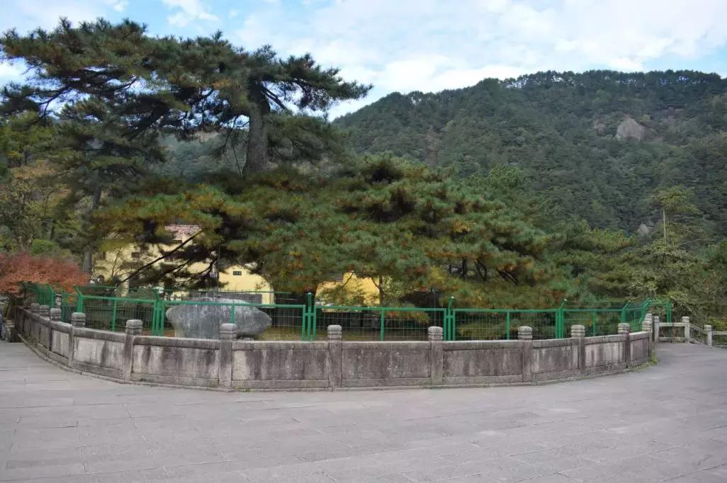 游九华山风景区,游九华山风景