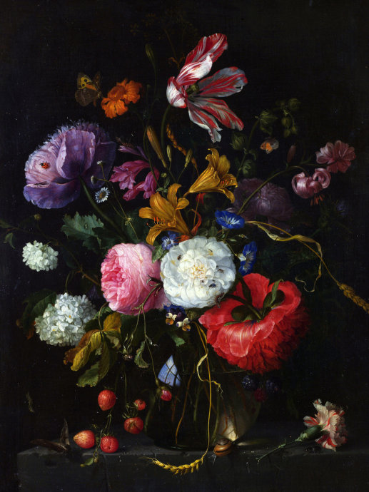 二十张惊艳的鲜花图片美图欣赏,好看的鲜花绝美图片