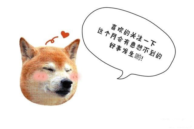 竹胶板的坏处,什么样的竹胶板结实