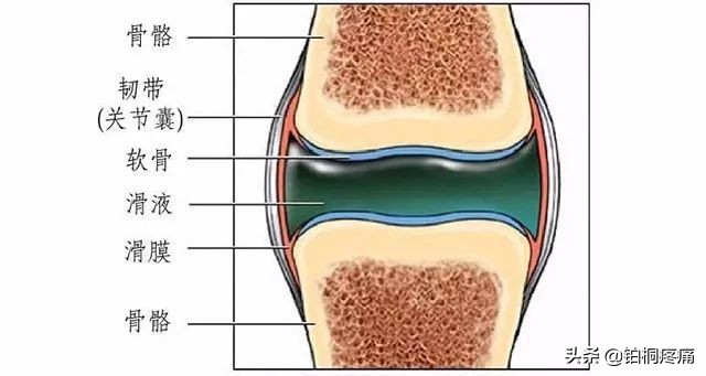 女人膝盖疼痛警惕四种病因,膝盖内侧疼痛的病因