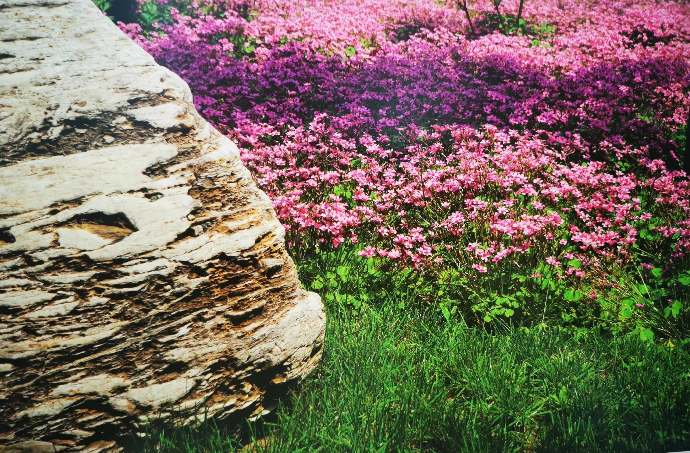 群贤庄老洋房,西安群贤庄