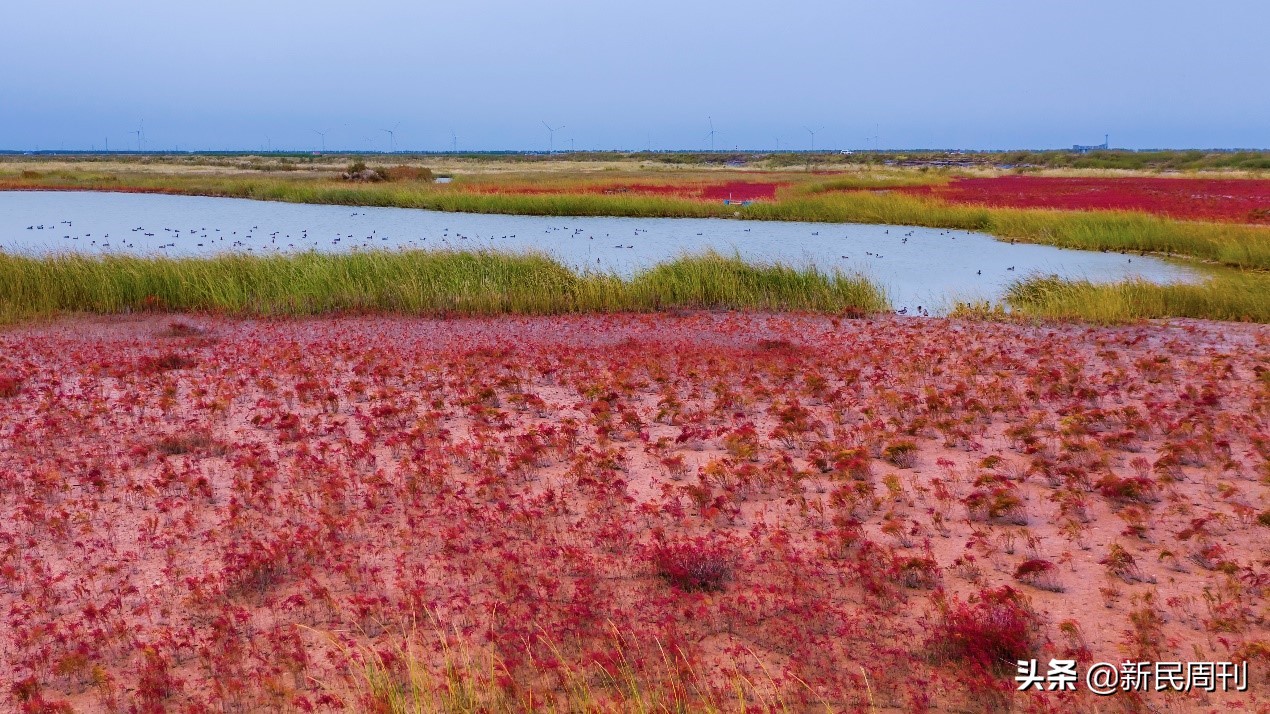 江苏100亿大项目,江苏盐城50项重点项目