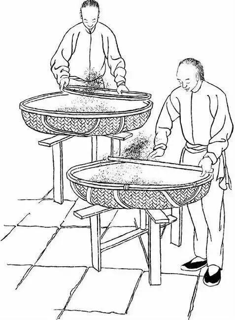 这份泡茶笔记值得收藏,武夷岩茶基本知识有哪些